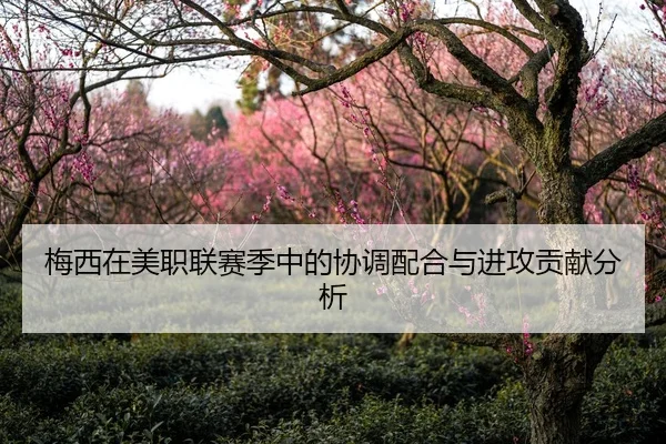 梅西在美职联赛季中的协调配合与进攻贡献分析