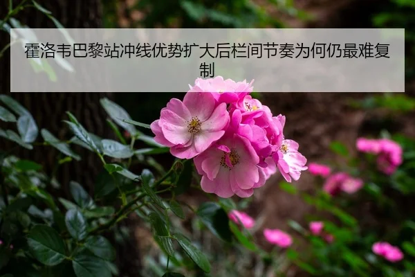 霍洛韦巴黎站冲线优势扩大后栏间节奏为何仍最难复制