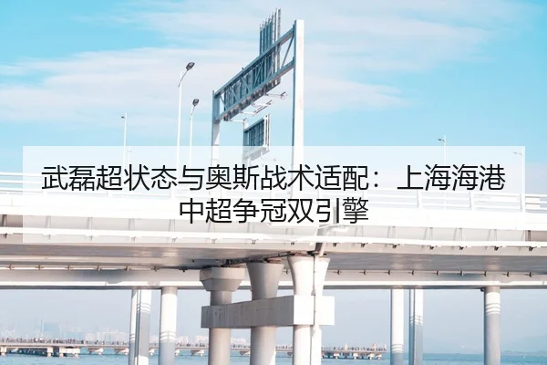 武磊超状态与奥斯战术适配：上海海港中超争冠双引擎