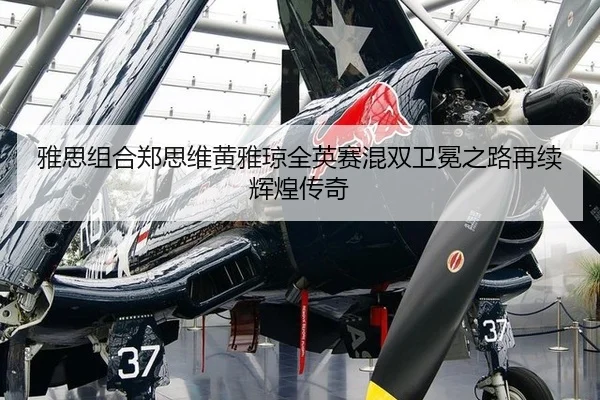 ya-si-zu-he-zheng-si-wei-huang-ya-qiong-quan-ying-sai-hun-shuang-wei-mian-zhi-lu-zai-xu-hui-huang-chuan-qi-3-256.jpg