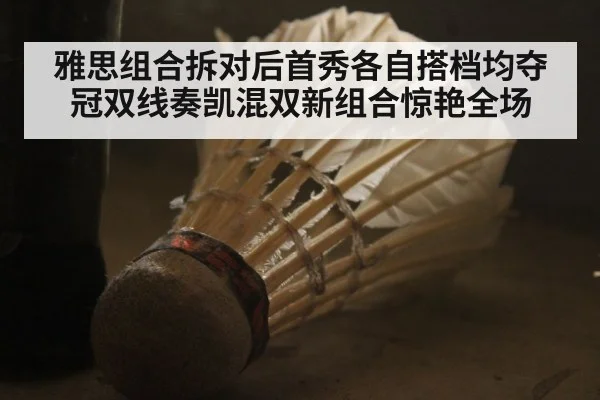 雅思组合拆对后首秀各自搭档均夺冠双线奏凯混双新组合惊艳全场