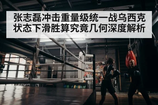 张志磊冲击重量级统一战乌西克状态下滑胜算究竟几何深度解析