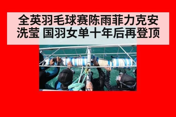 全英羽毛球赛陈雨菲力克安洗莹 国羽女单十年后再登顶